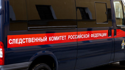 В Ленобласти девочка каталась на ватрушке и угодила в открытый люк