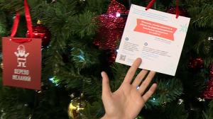 Дерево желаний: вы тоже можете исполнить мечту хотя бы одного ребёнка