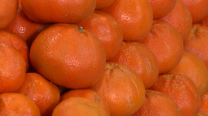 Оранжевый взрыв: почему тыква, хурма, морковь и цитрусовые необходимы в рационе именно зимой
