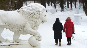 Как запечатлеть зимнюю сказку и сберечь технику на морозе?  Правила и советы для зимней фотосессии
