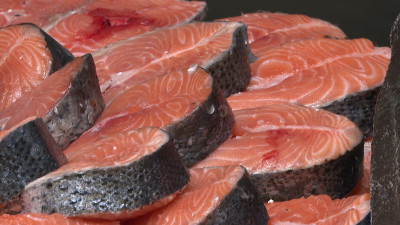 Петербуржцам дали рекомендации по выбору рыбы к новогоднему столу