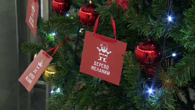 Петербуржцы могут принять участие в акции «Дерево желаний» до 24 декабря