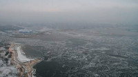 Петербуржцам показали, как Финский залив покрылся льдом