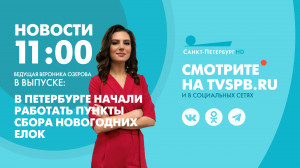Новости Петербурга к 11:00