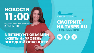 Новости Петербурга к 11:00