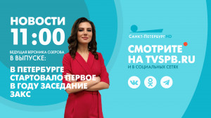 Новости Петербурга к 11:00