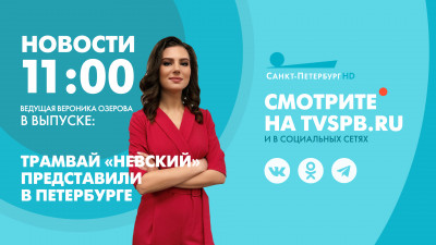 Новости Петербурга к 11:00