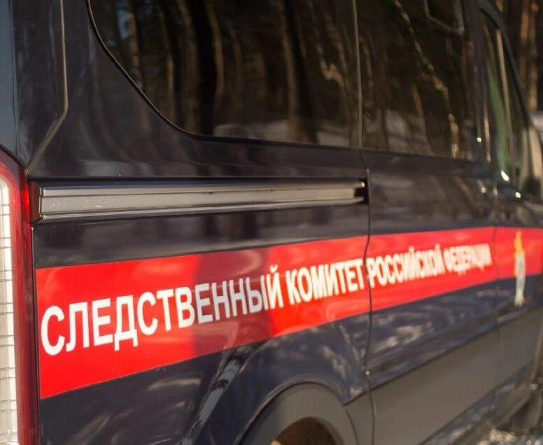 СК начал проверку по факту нападения на водителя скорой в Петербурге - tvspb.ru