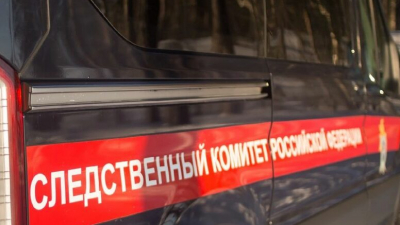 СК начал проверку по факту нападения на водителя скорой в Петербурге