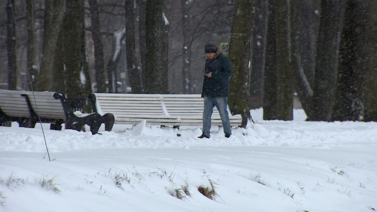 В Ленобласти ожидаются снег и гололедица во второй половине недели - tvspb.ru