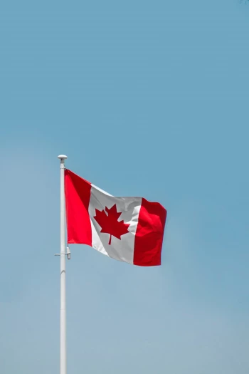 Канада ввела санкции против «Юнармии», «Движения первых» и МГИМО