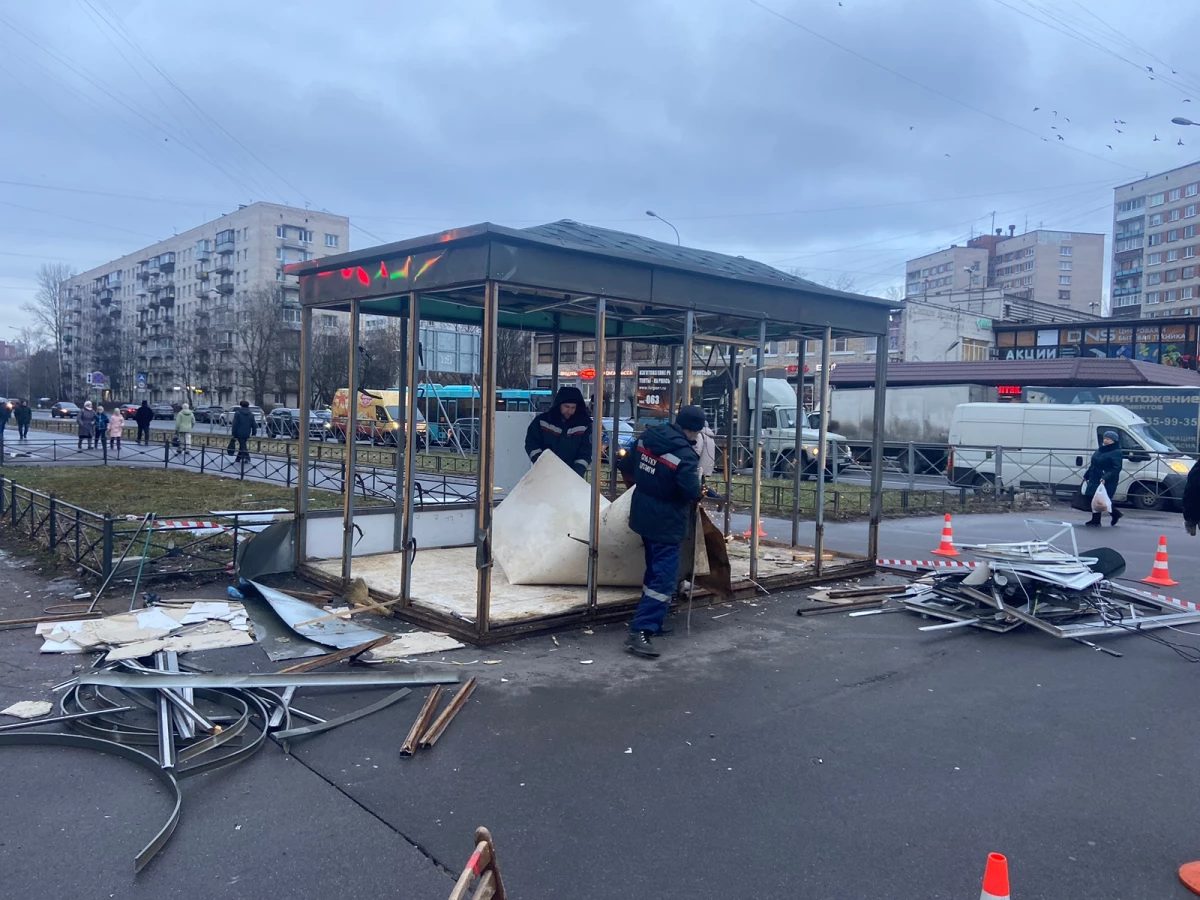 В Петербурге от незаконной торговли освободили 100 квадратных метров городской земли - tvspb.ru