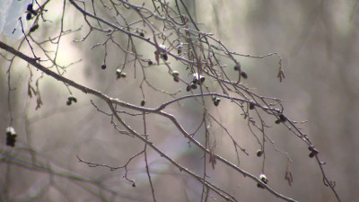Женщина погибла, катаясь на ватрушке на заброшенной базе у Рощино