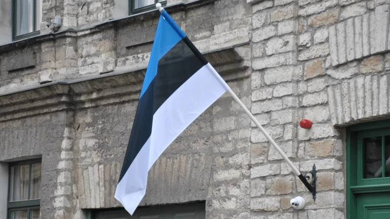 Россия решила понизить уровень дипломатических отношений с Эстонией - tvspb.ru