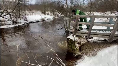 Росприроднадзор привлечет к ответственности виновных в загрязнении реки Охты