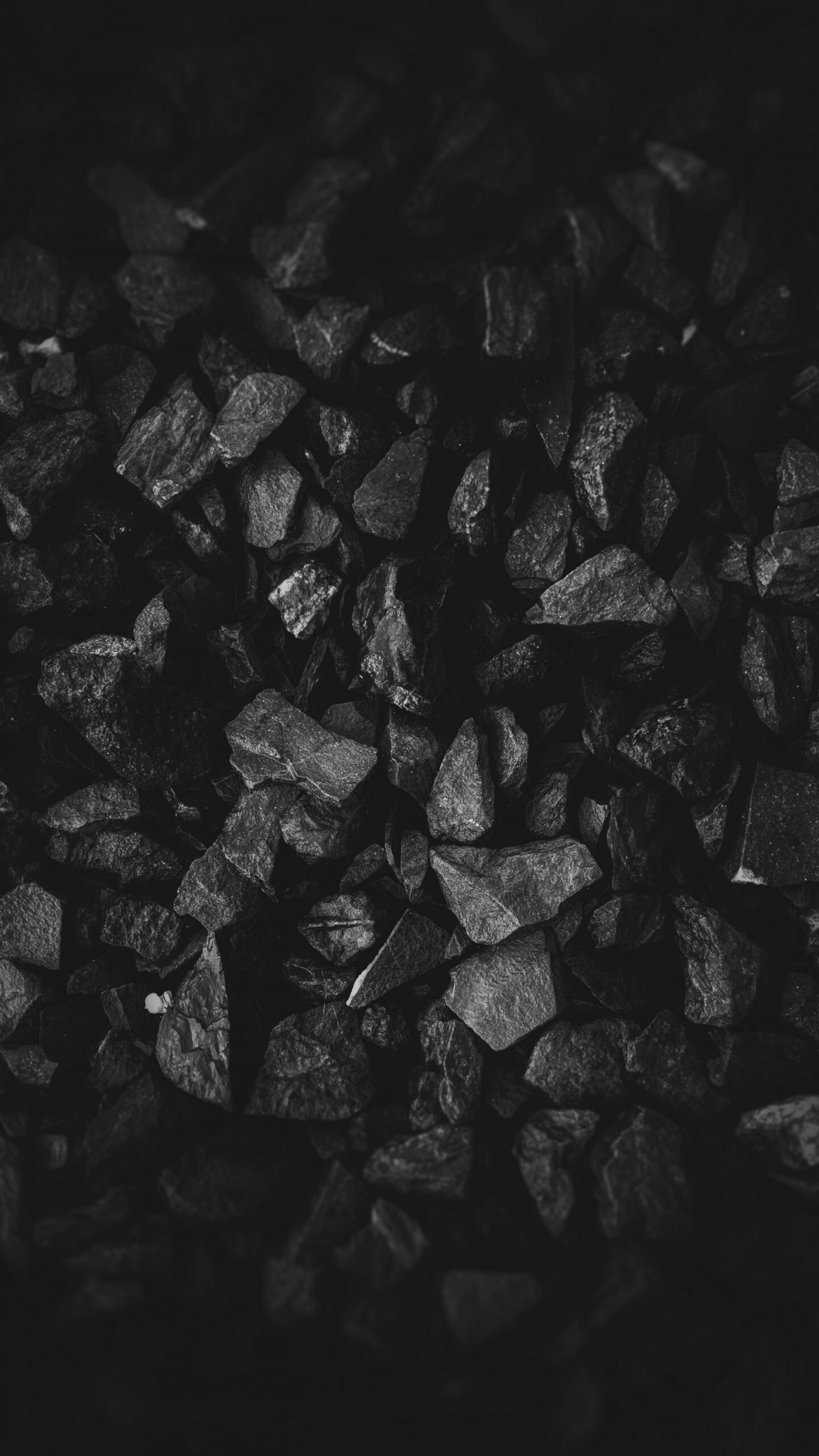Германия стала главным потребителем российского угля, закупив 13 млн тонн - tvspb.ru
