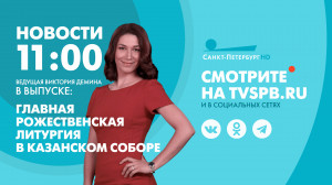 Новости Петербурга к 11:00