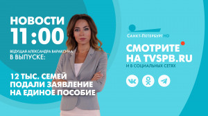 Новости Петербурга к 11:00