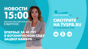 Новости Петербурга к 15:00