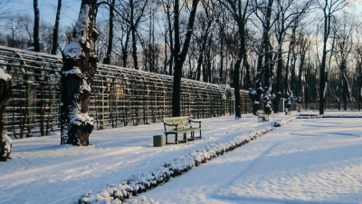 Экскурсии по Летнему и Михайловскому садам посвятят годовщине снятия блокады Ленинграда