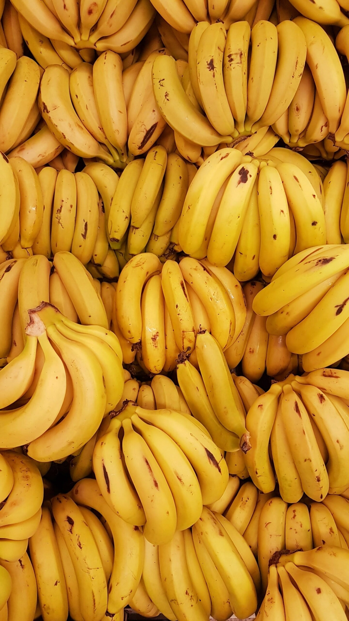 Зелёные или жёлтые: какие бананы стоит выбирать в магазине - tvspb.ru