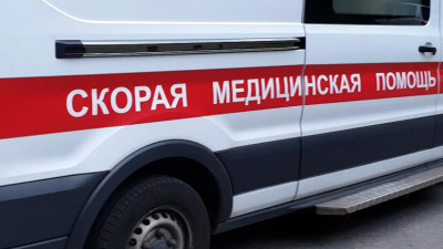 В Гатчинском районе Ленобласти водитель насмерть переехал мужчину, лежавшего на дороге