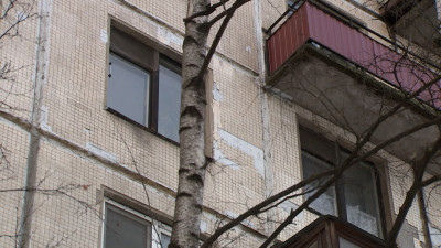В квартире на Пулковском шоссе нашли окровавленное тело женщины