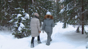 Гладышевский заказник: зимняя сказка под Петербургом