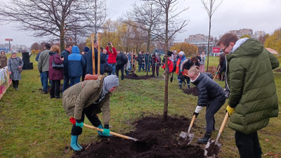 В саду «Дубовая роща» высадят 900 дубов в память о блокаде Ленинграда