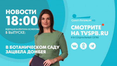 Новости Петербурга к 18:00