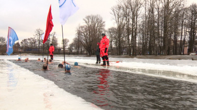 В парке Победы прошел заплыв моржей ко дню снятия блокады Ленинграда
