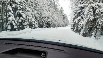 Петербург и Ленинградская область приведут в порядок 85 дорог к садоводствам