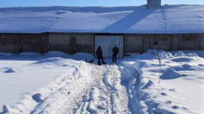 На Алтае мать заживо сожгла 1,5-годовалую дочь на глазах у сына