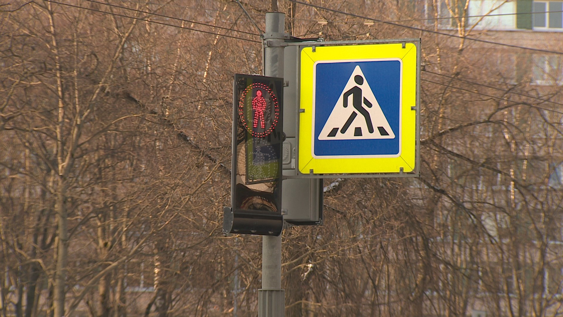 синий светофор в японии. светофоры с распознаванием лиц в москве. светофоры с распознаванием лиц в москве. новые светофоры. новый светофор с белым.