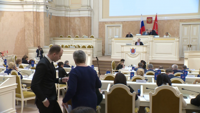ЗакС утвердил треть нового состава Общественной палаты Петербурга