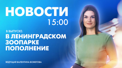 Новости Петербурга к 15:00