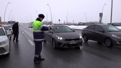 В Петербурге снизилось число преступлений, совершённых мигрантами