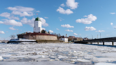 В Выборге завели дело после найденных у Аннинских креплений отрубленных ног