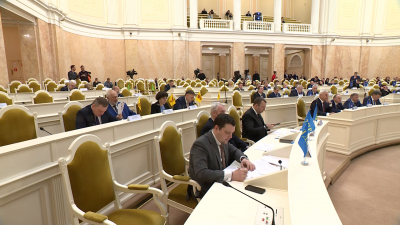 Депутаты Петербурга предложили поддержать меценатов, помогающих школам и детским садам