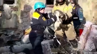 МЧС спали кота во время разбора завалов обрушившегося дома в Новосибирске
