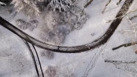 Синоптик предупредил о сильном снеге и гололедице в Петербурге