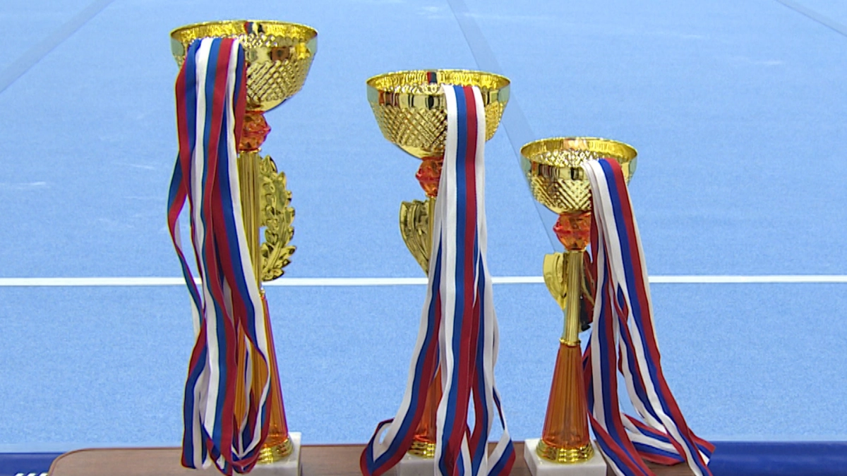 В Петербурге более 200 чемпионов получат премии - tvspb.ru
