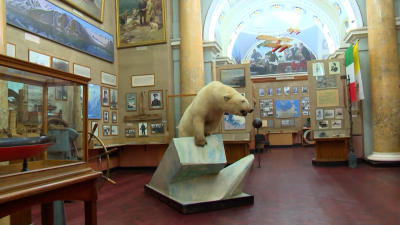 Выставки и встречи: «День Арктики» в Петербурге откроют новыми программами
