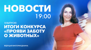 Новости Петербурга к 19:00