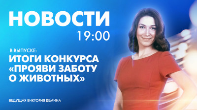 Новости Петербурга к 19:00