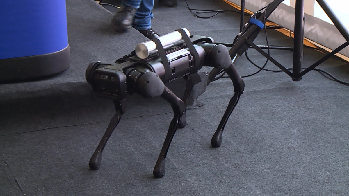 Австралийцы научились управлять роботами-собаками с помощью мысленных команд - tvspb.ru