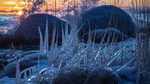Природа — лучший пейзажист: обзор ледяных художеств