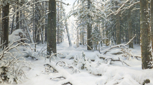 Картина дня. Иван Шишкин «Зима»
