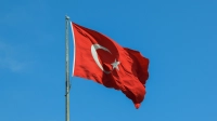 Турция хочет вступить в БРИКС