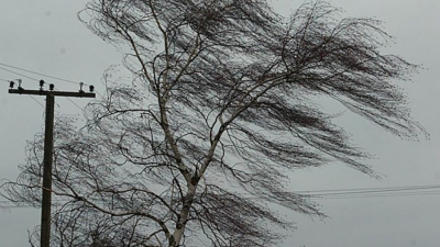 В Ленобласти ожидается сильный ветер до 4 апреля